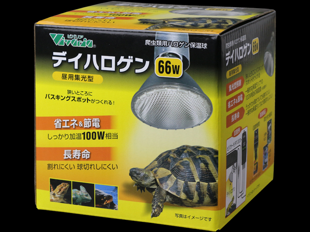 デイハロゲン66W