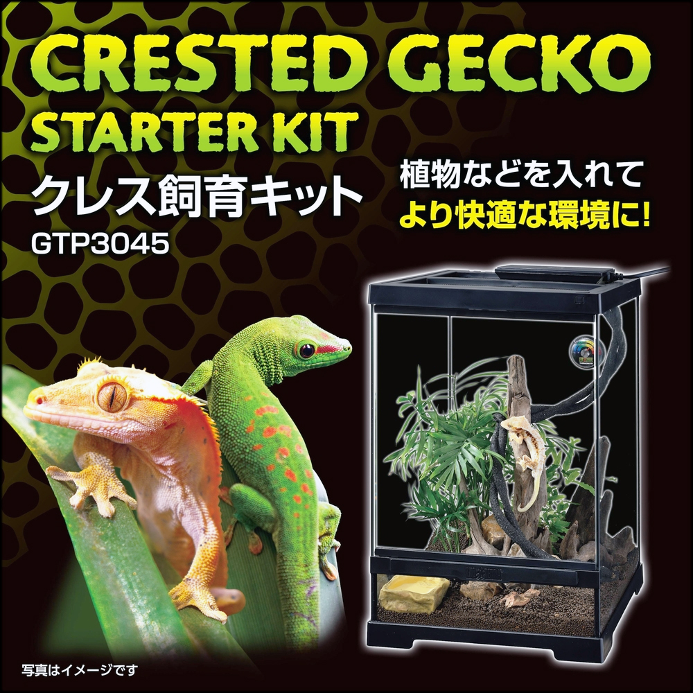 クレス飼育キットGTP3045　ジェックス　エキゾテラ