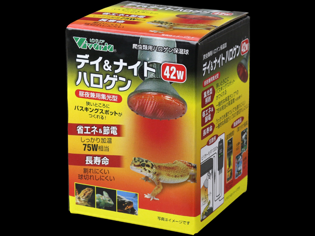 デイ&ナイトハロゲン42W