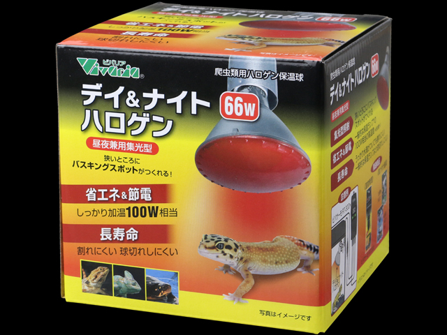 デイ&ナイトハロゲン66W