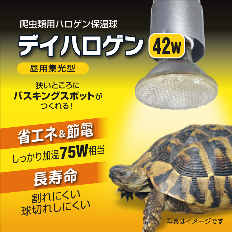デイハロゲン42W　パッケージ上面