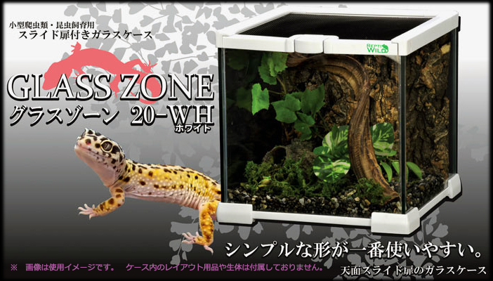 グラスゾーン20-WH レプティワイルド SANKO 販売 通販 爬虫類用ガラス 