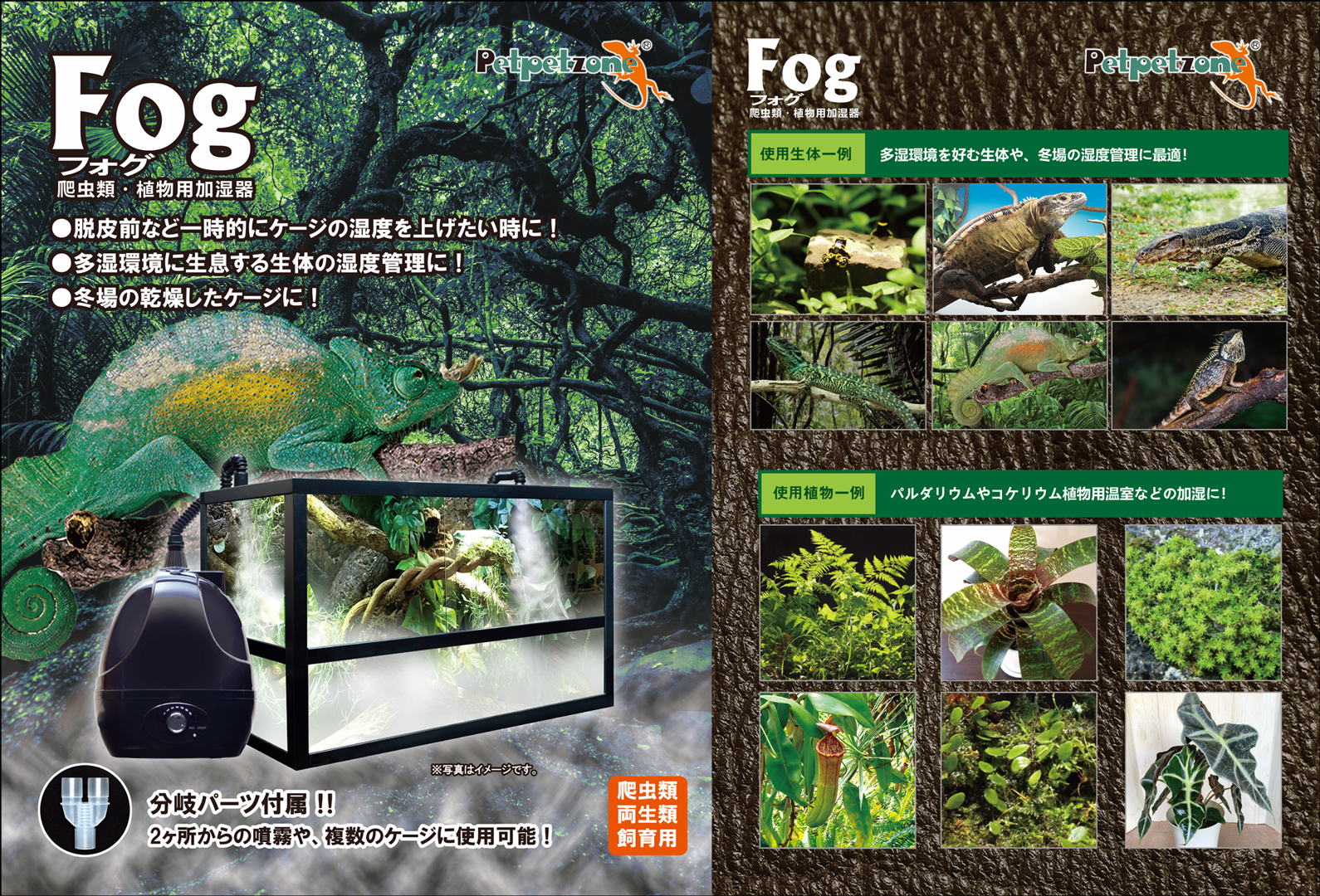 ゼンスイ Fog(フォグ) 爬虫類・植物加湿器 通販