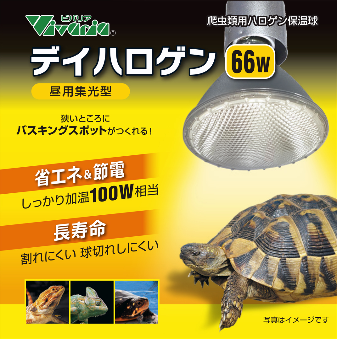 デイハロゲン66W　パッケージ正面