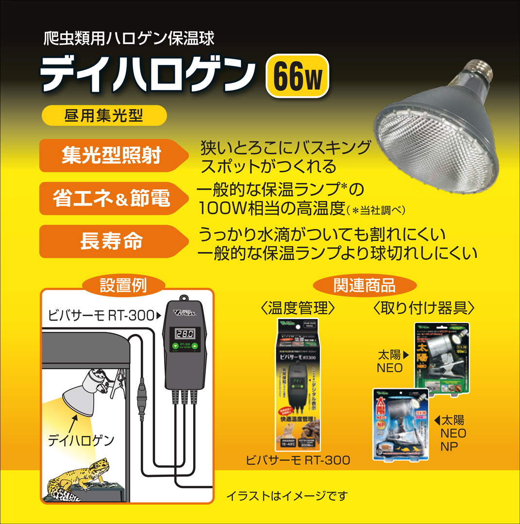 デイハロゲン66W　パッケージ右側面