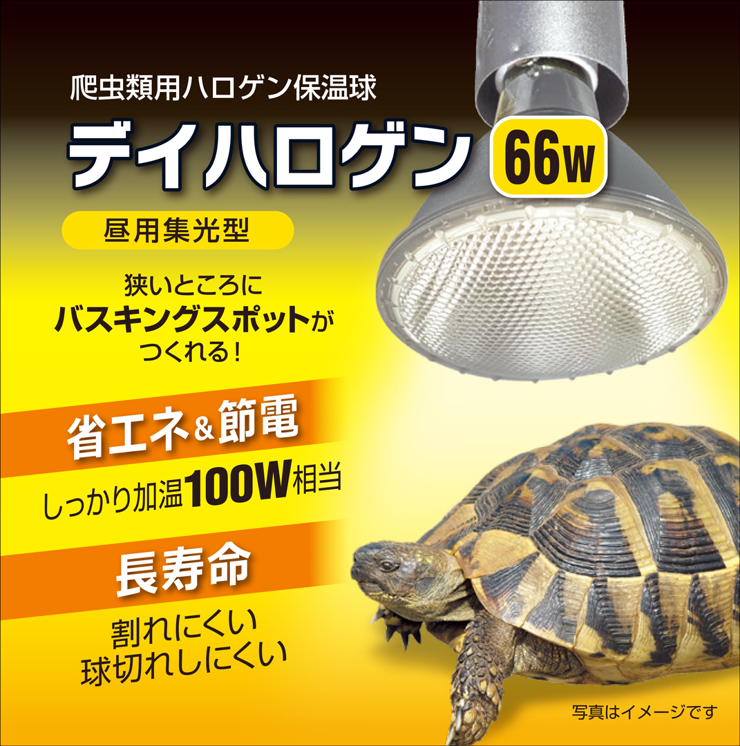 デイハロゲン66W　パッケージ上面