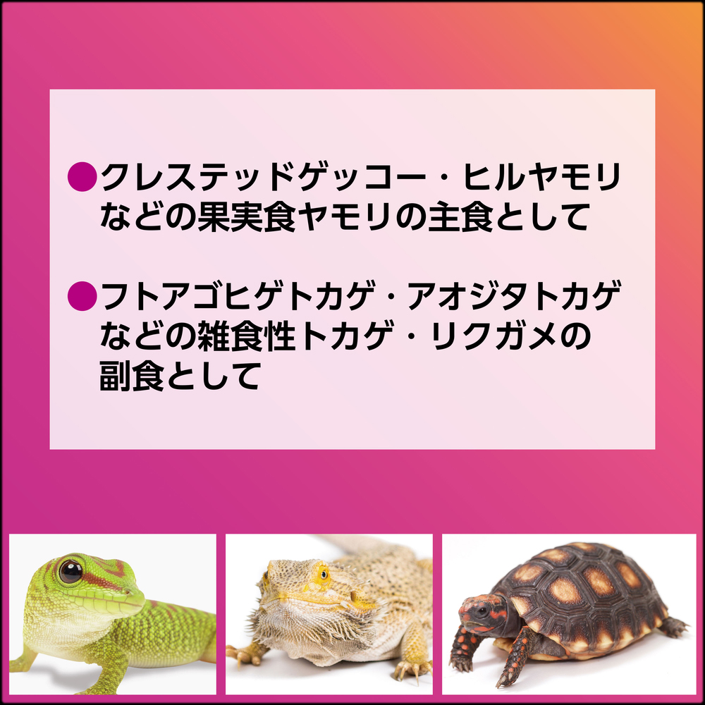 フルーツ&バグペーストプロテインプラス　クレステッドゲッコーの主食