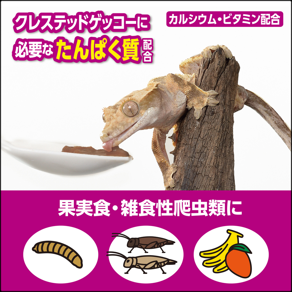 フルーツ&バグペーストプロテインプラス　果実食・雑食性爬虫類に