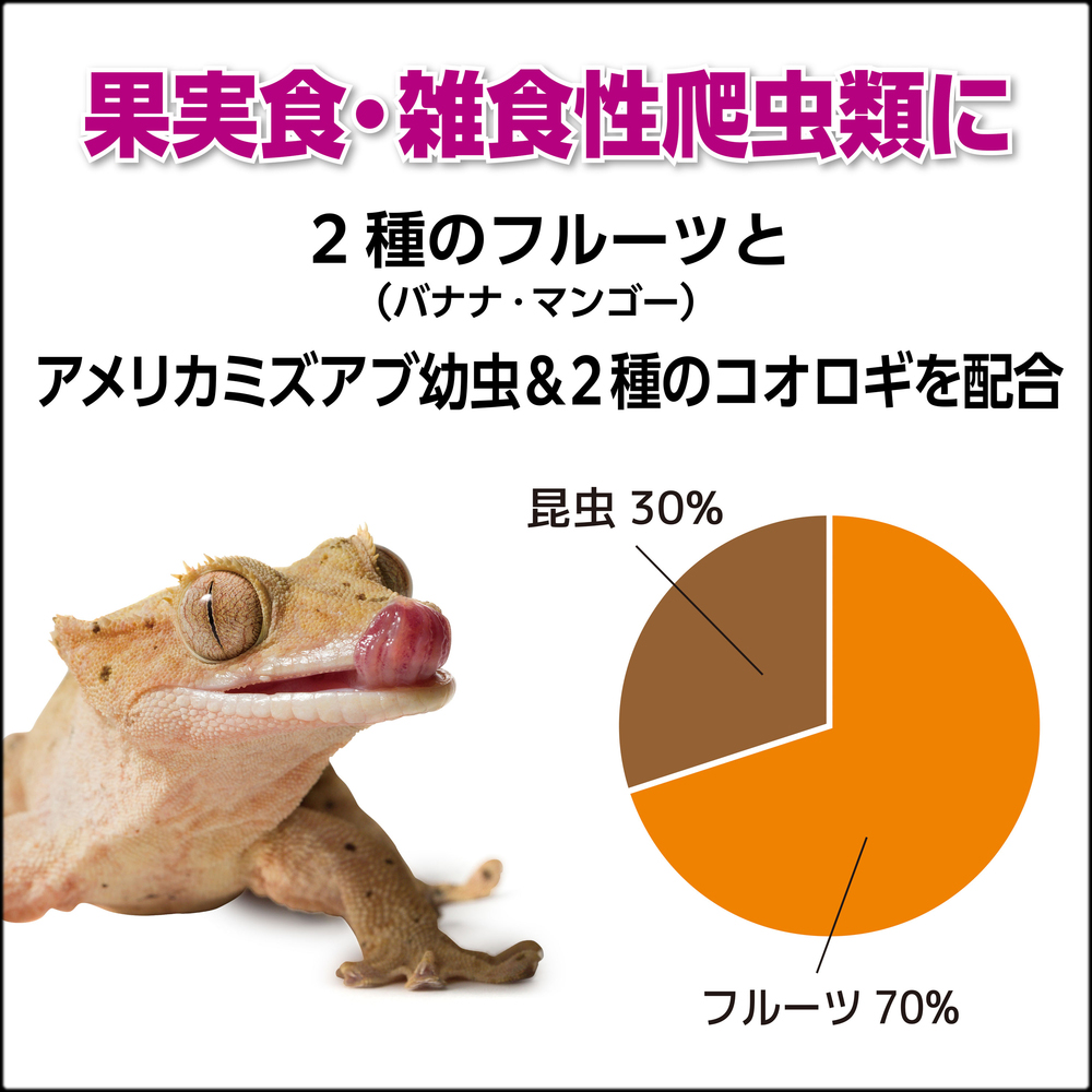 フルーツ&バグペーストプロテインプラス　昆虫30%　フルーツ70%