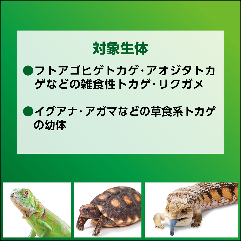 ベジミックスペーストバグプラス　フトアゴ　アオジタ