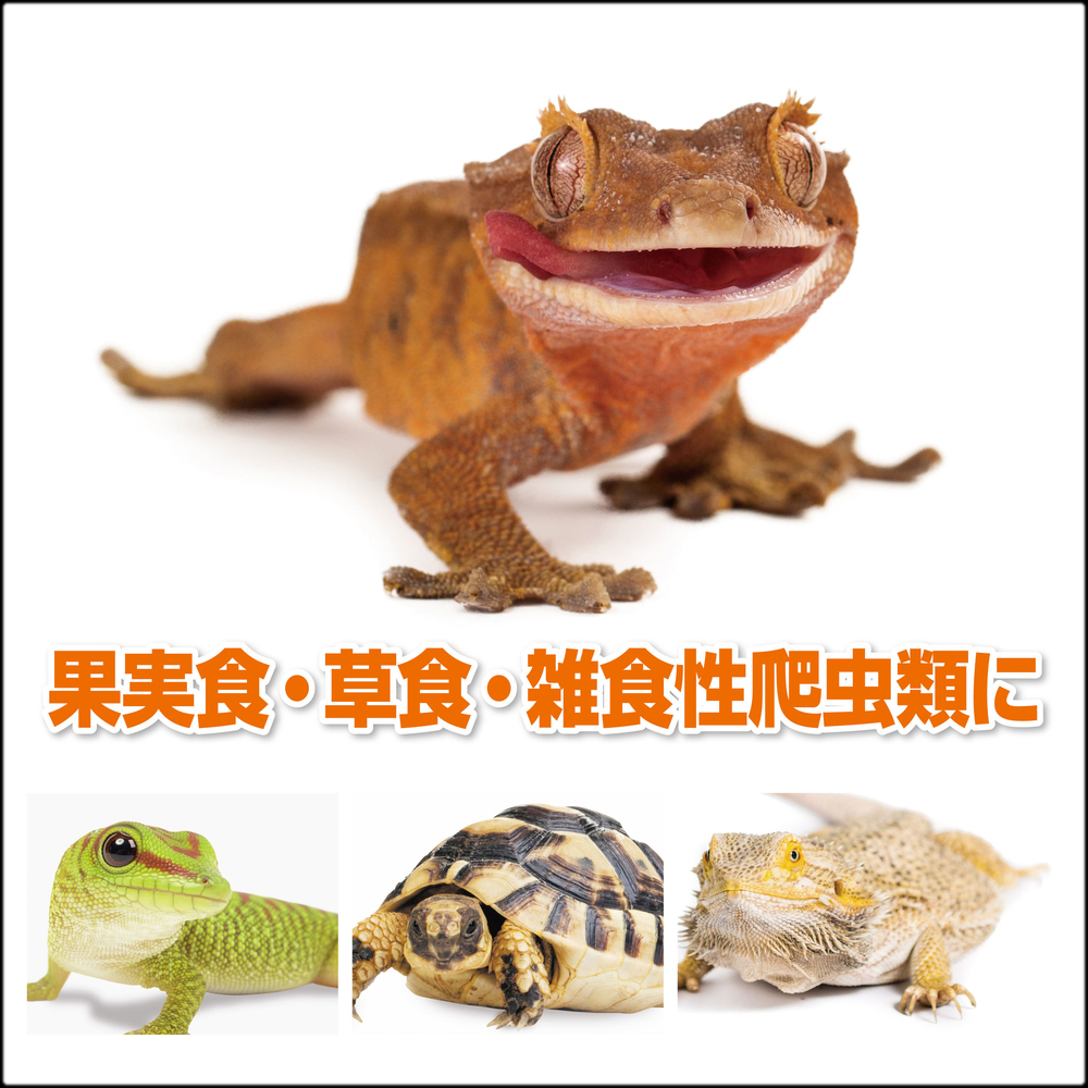 ダブルフルーツペーストバナナ&マンゴー　果実食・草食・雑食爬虫類に