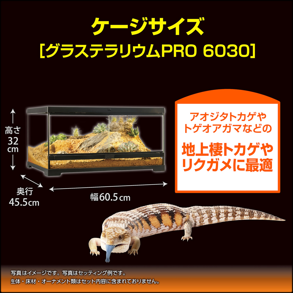 フトアゴ&リクガメ飼育キットGTP6030 地上棲トカゲやリクガメに最適