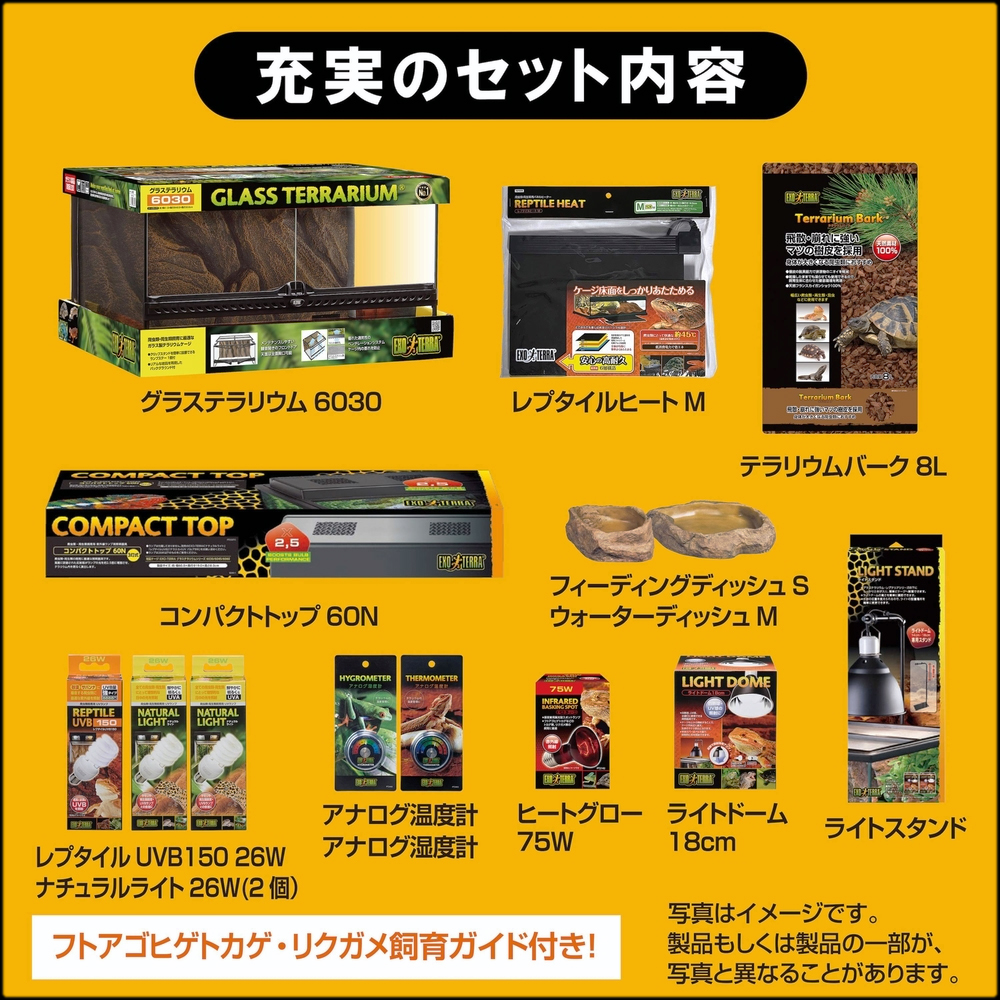 フトアゴヒゲトカゲ＆リクガメ飼育キットBK　お買い得14点セット