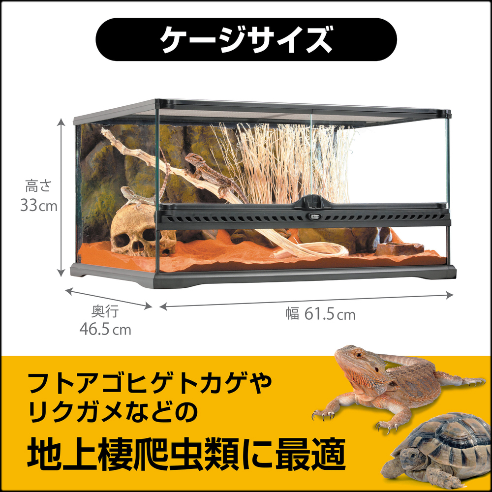 フトアゴヒゲトカゲ＆リクガメ飼育キットBK　フトアゴヒゲトカゲやリクガメなどの地上棲爬虫類に最適