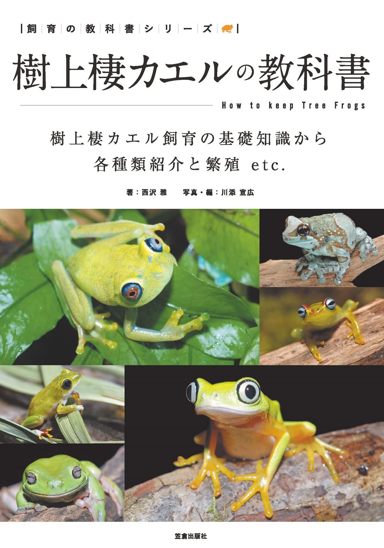 樹上棲カエルの基礎知識
