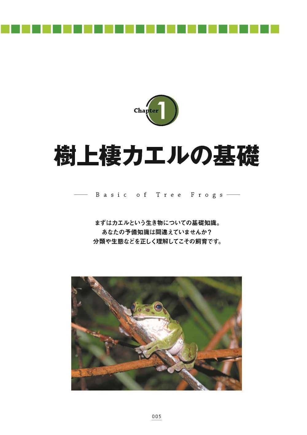 樹上棲カエル
