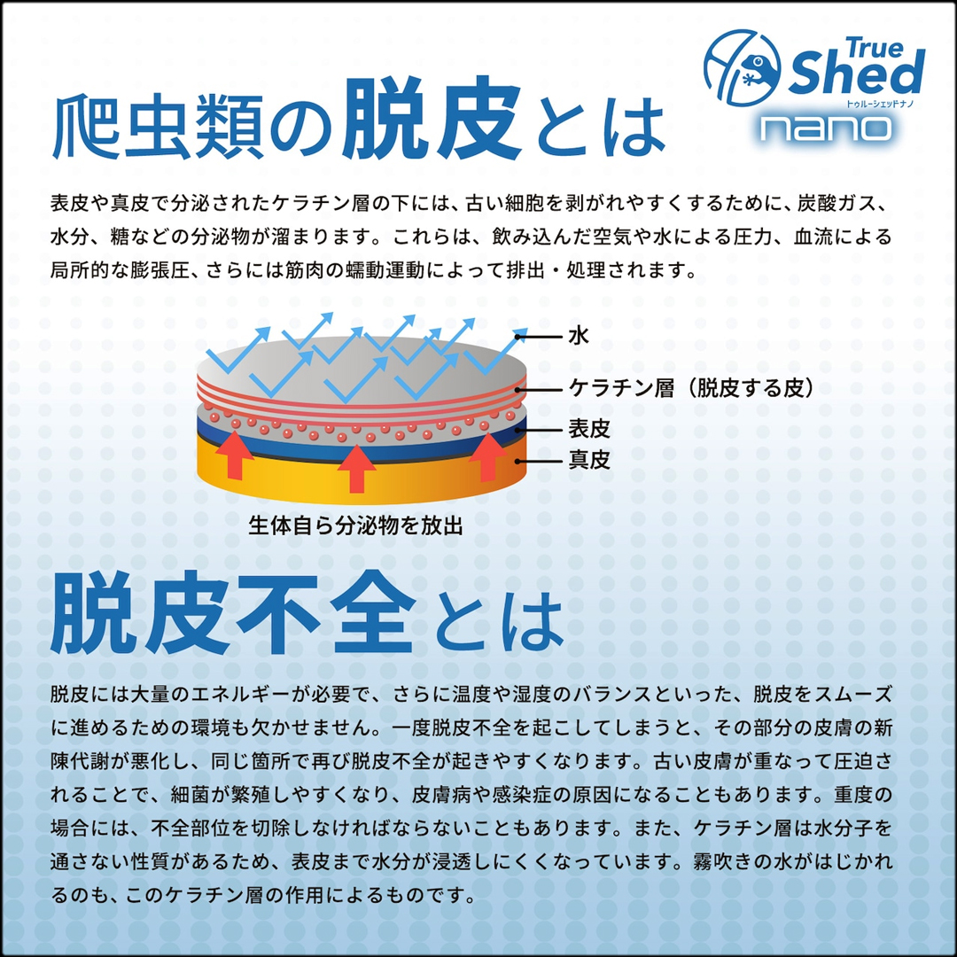 True Shed Nano　Arion Japan