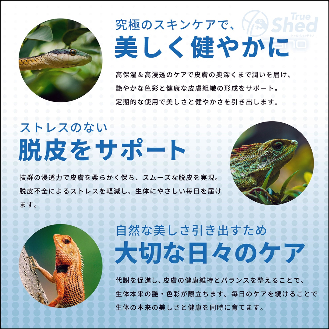 トゥルーシェッドナノ　究極のスキンケア