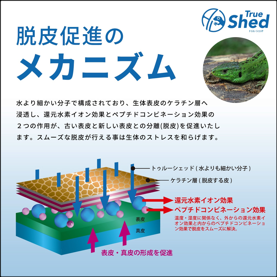 トゥルーシェッド　脱皮促進のメカニズム