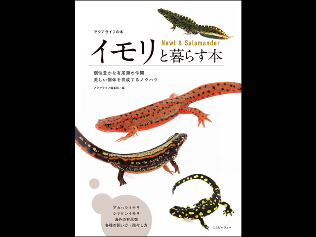 イモリと暮らす本 (アクアライフの本)