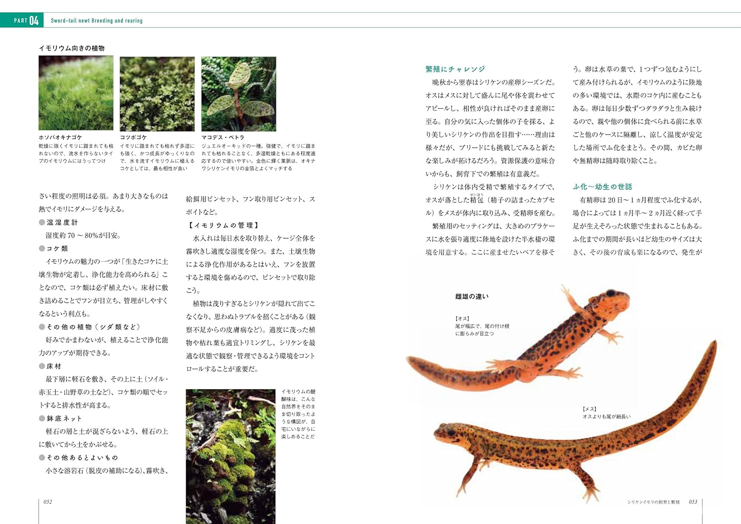 イモリと暮らす本　イモリウム