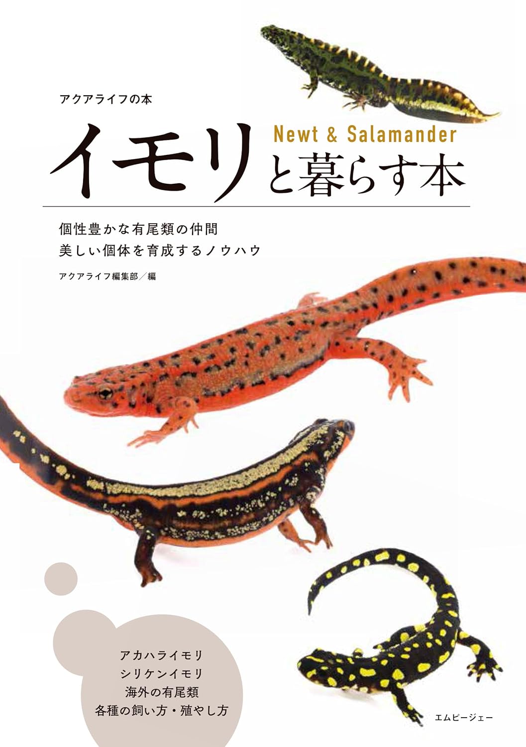 イモリと暮らす本