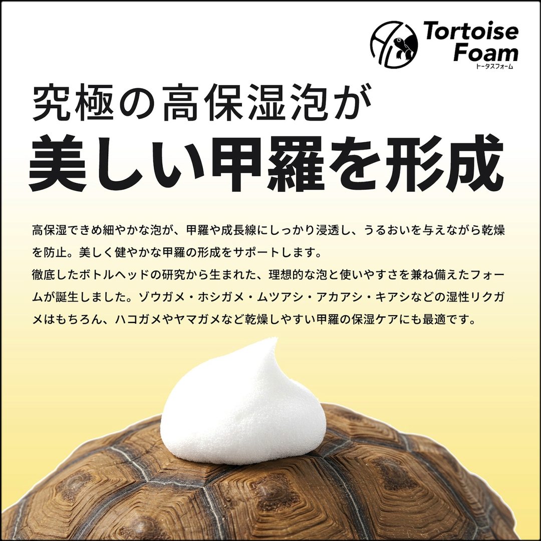 トータスフォーム　美しい甲羅を形成