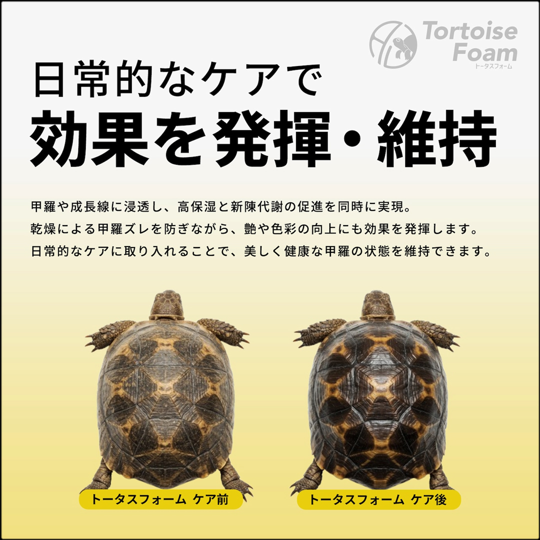 トータスフォーム　日常的なケアで効果を発揮・維持