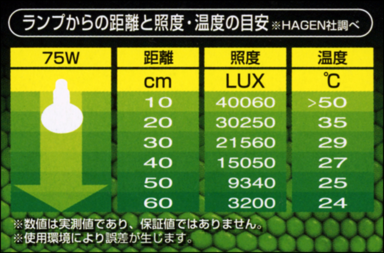 サングローバスキングスポットランプ75W　エキゾテラ　ランプからの距離と温度の目安