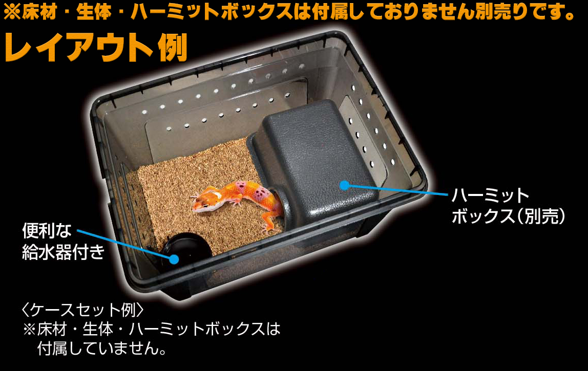 コレクションケース4Mブラック　飼育例