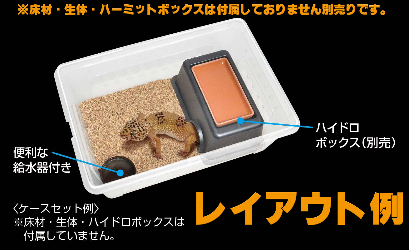 コレクションケース4Lホワイト　飼育例