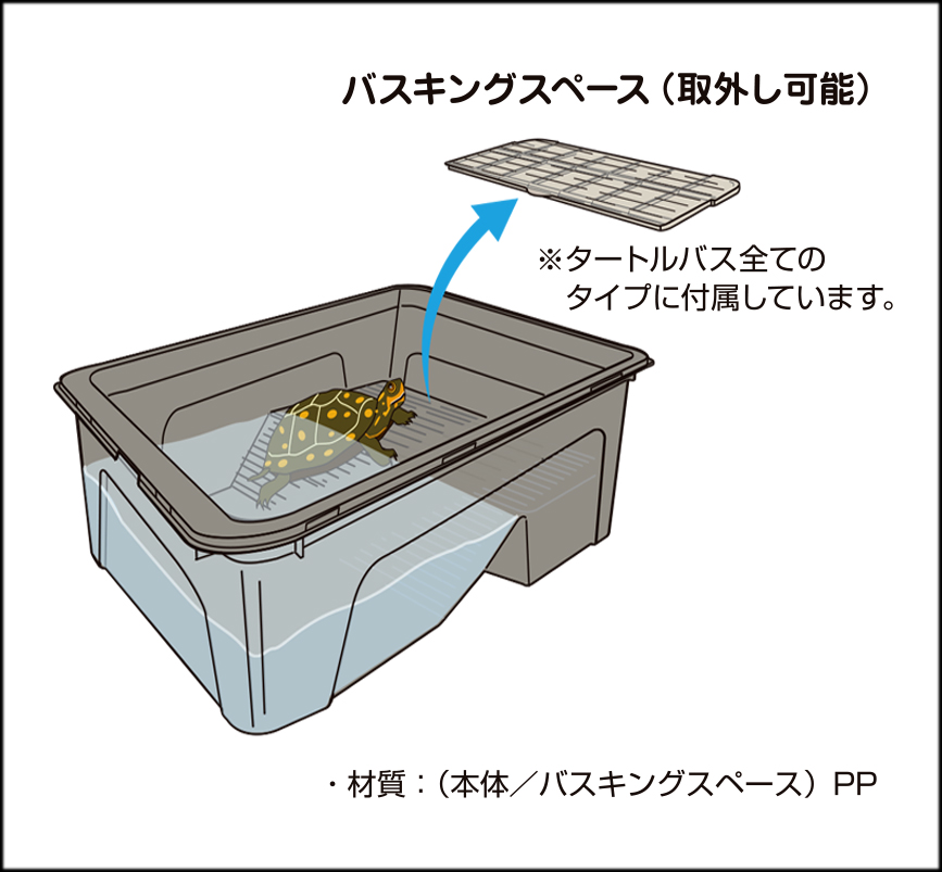 タートルバスブラック　ビバリア