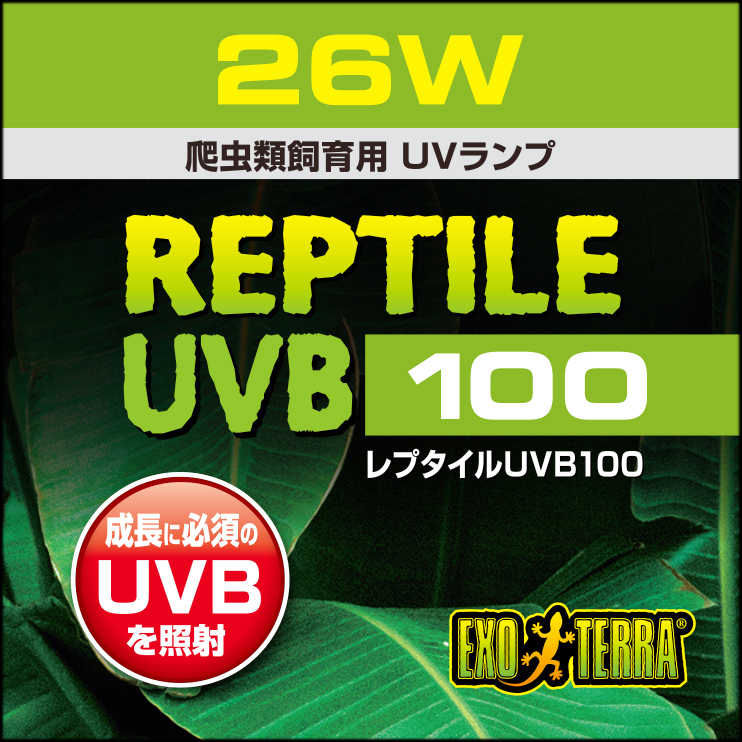 レプタイルUVB100 26W エキゾテラ 爬虫類飼育用蛍光ランプ 販売 通販
