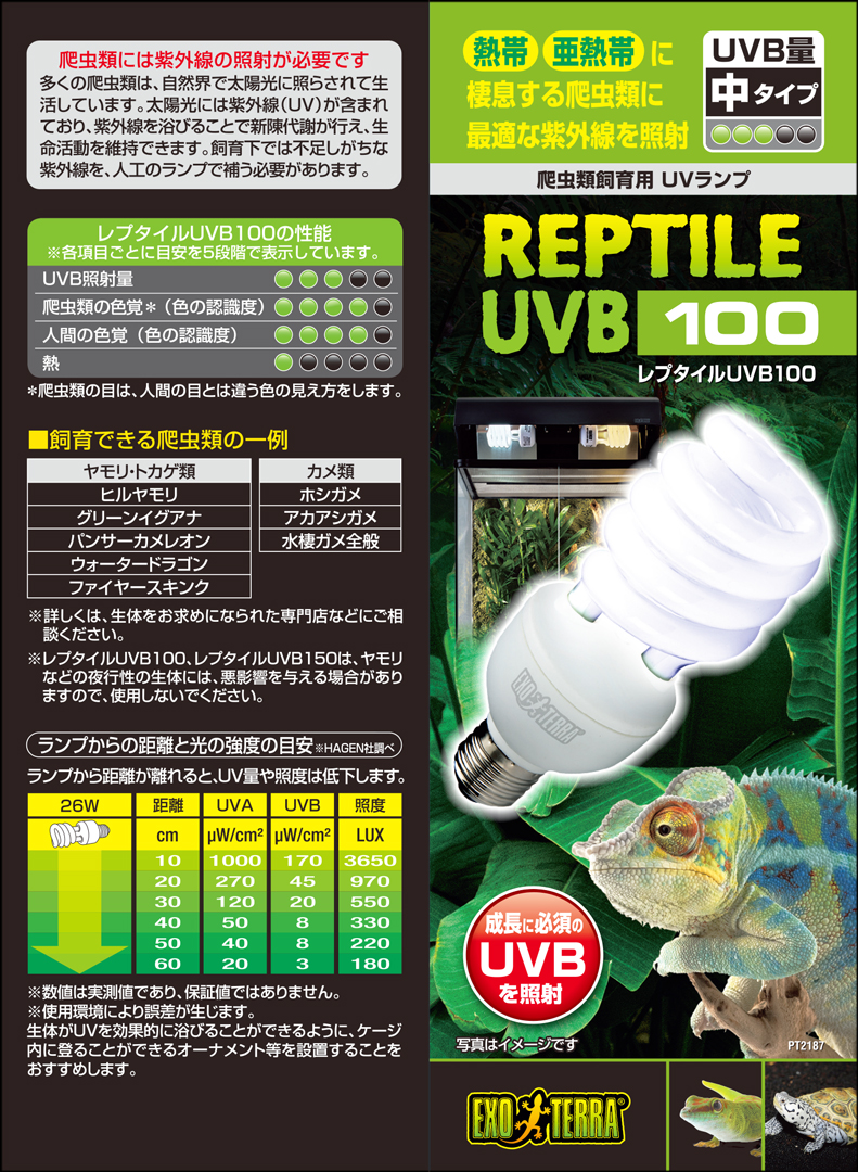 レプタイルUVB100 26W エキゾテラ 爬虫類飼育用蛍光ランプ 販売 通販