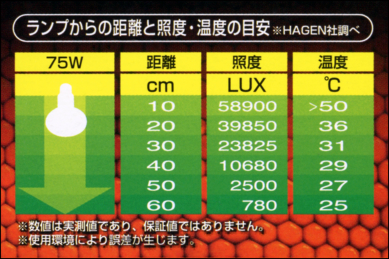 サングロータイトビームバスキングスポットランプ75W　エキゾテラ　ランプからの距離と温度の目安