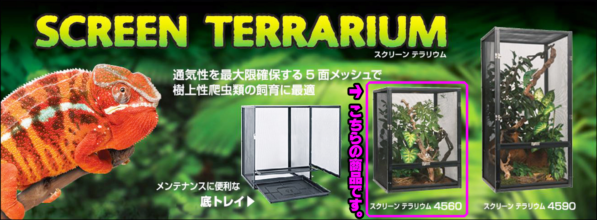 スクリーンテラリウム4560 GEX EXOTERRA メッシュケージ 販売 通販