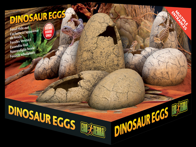 恐竜の卵　ダイナソーエッグス　エキゾテラ