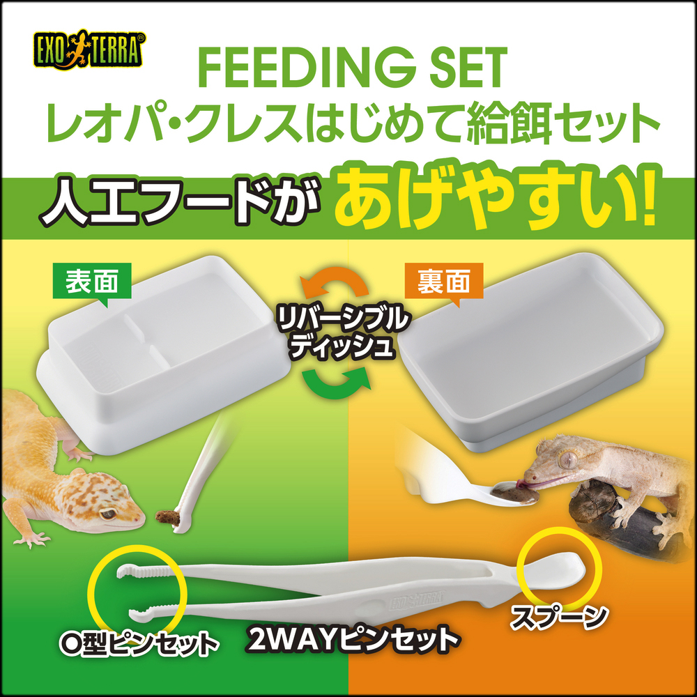 レオパクレスはじめて給餌セット　人工フードがあげやすい！