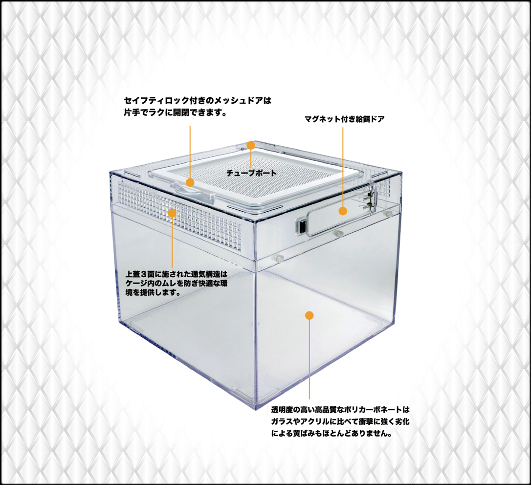 レプタイルポリカケース　パッケージ右側面