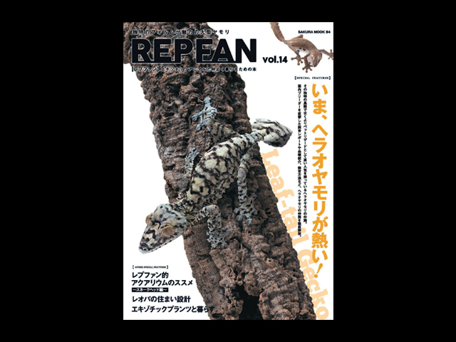 レプファン(REP FAN) 笠倉出版社 販売 通販