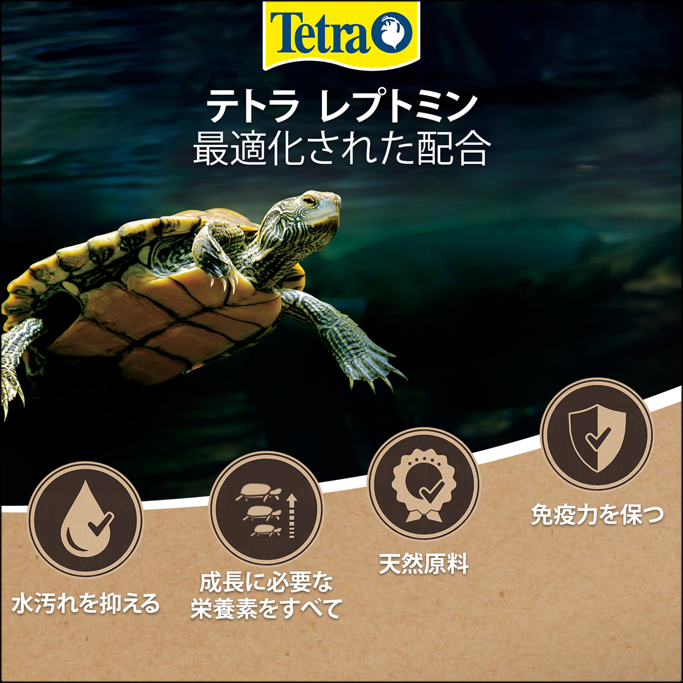 テトラレプトミン小粒　特徴