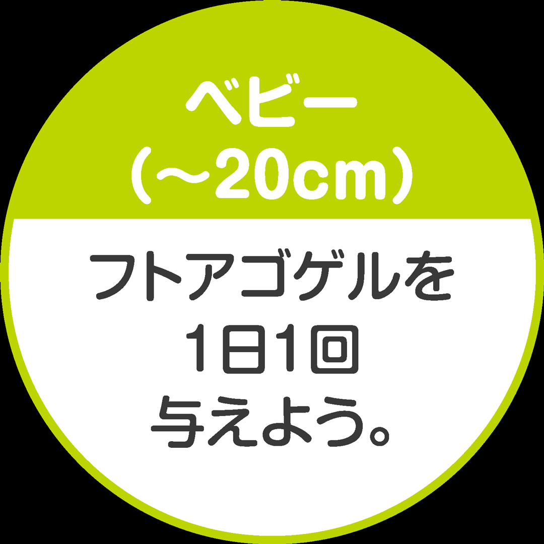 レオパゲル60g　ベビー用