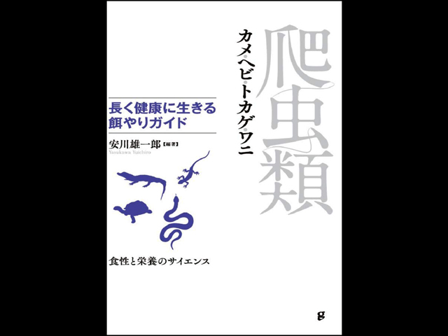 爬虫類 長く健康に生きる餌やりガイド