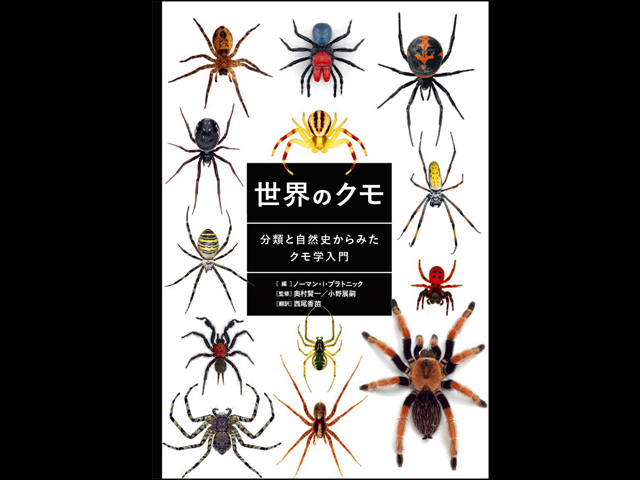 世界のクモ 分類と自然史からみたクモ学入門