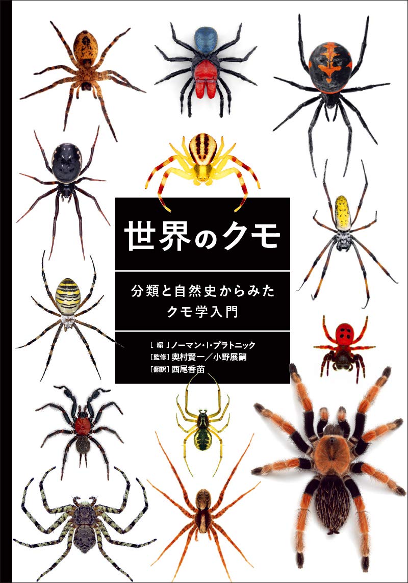 世界のクモ 分類と自然史からみたクモ学入門　グラフィック社