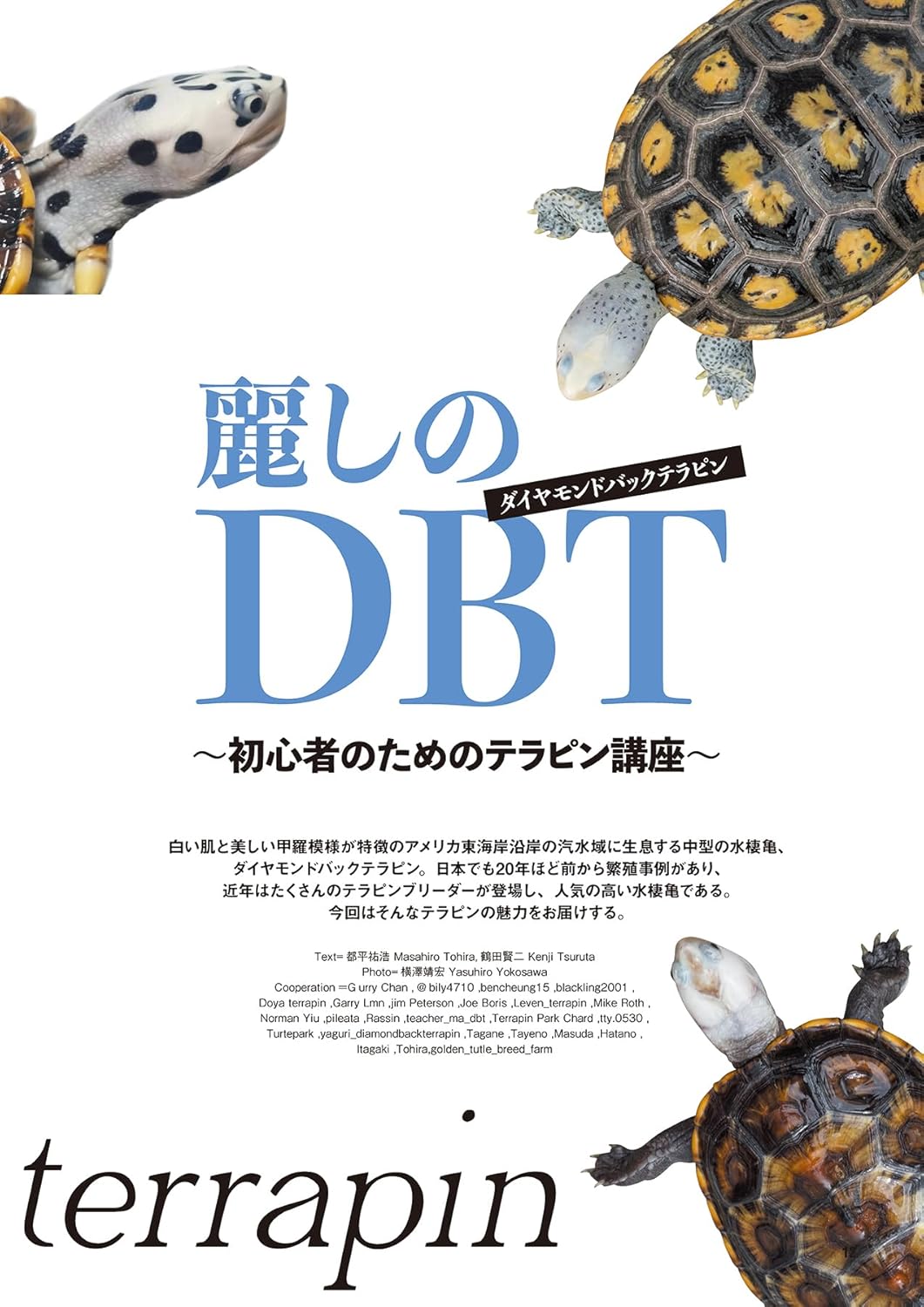 レプファン Vol.26 DBT