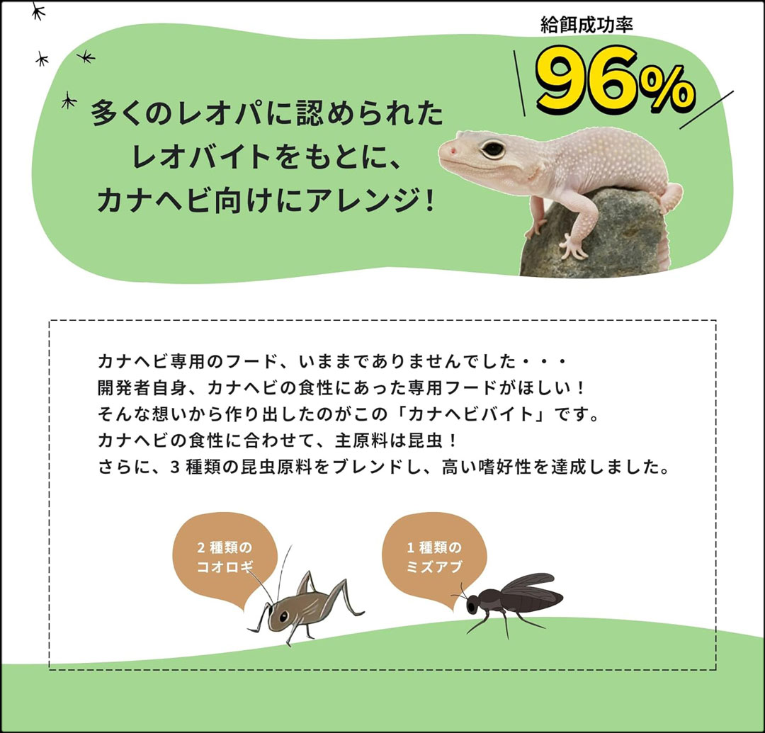 カナヘビバイト　エコロギー