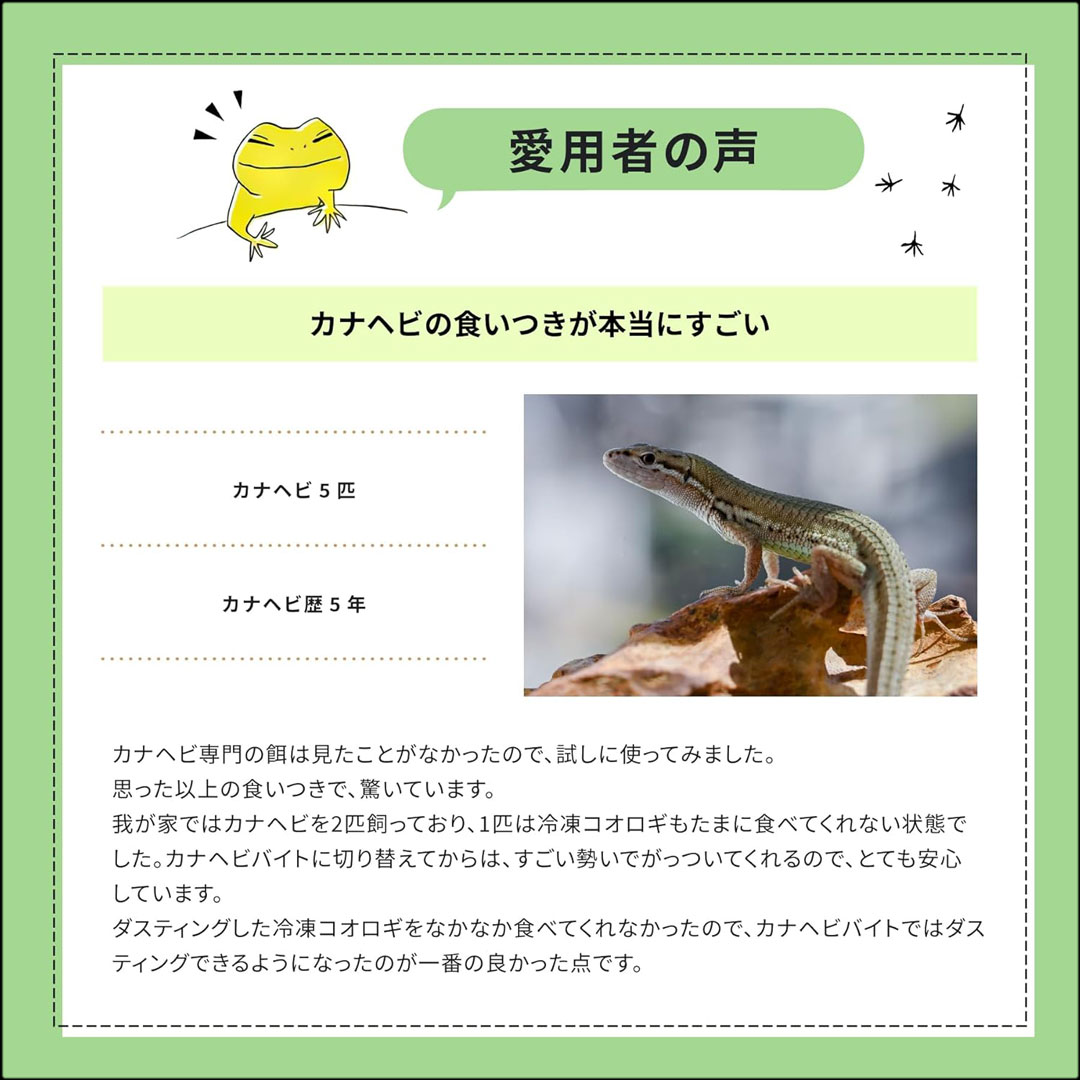 カナヘビバイト　愛用者の声