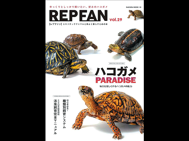 REP FAN レプファン Vol.29