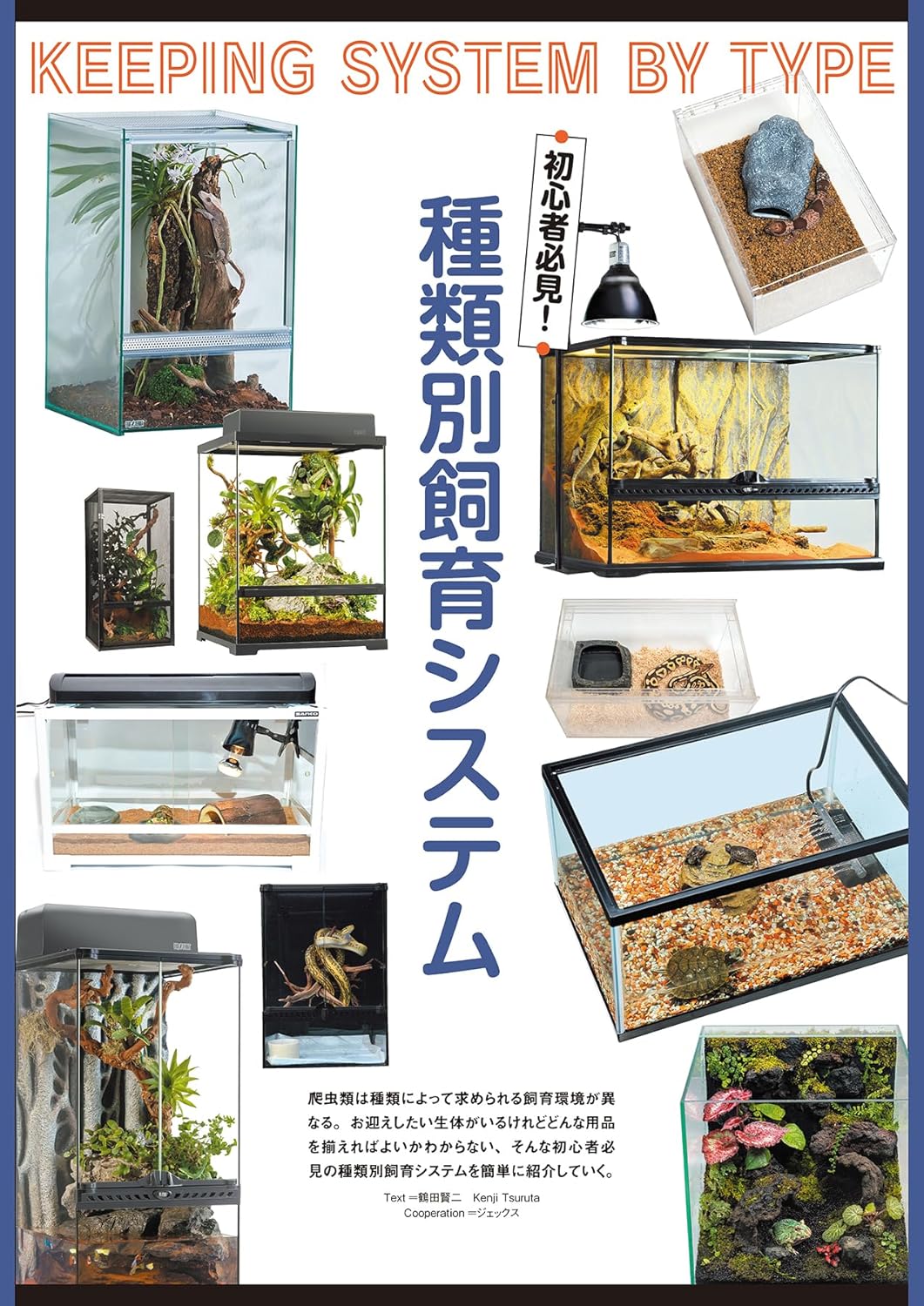 レプファン Vol.29 種類別飼育システム